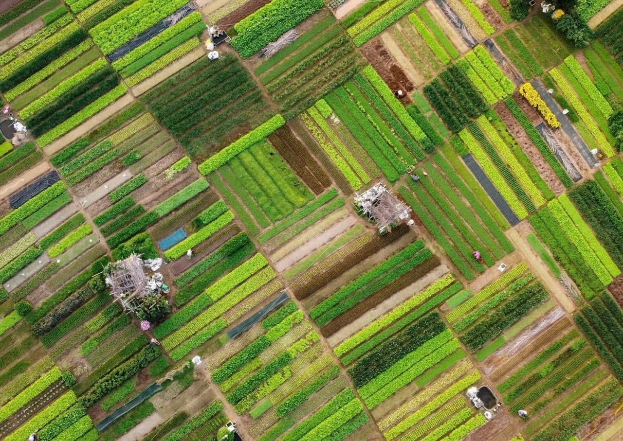 Quảng Nam: UN Tourism vinh danh làng rau Trà Quế là ‘Làng Du lịch tốt nhất năm 2024’ Quảng Nam: UN Tourism vinh danh làng rau Trà Quế là ‘Làng Du lịch tốt nhất năm 2024’