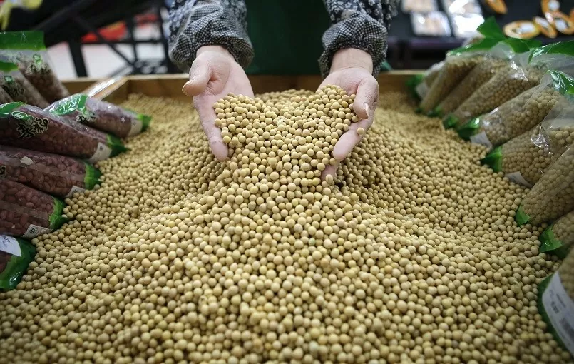 'Hạt hòa bình' cho ngoại giao chuỗi cung ứng nông nghiệp Mỹ-Trung 'Hạt hòa bình' cho ngoại giao chuỗi cung ứng nông nghiệp Mỹ-Trung