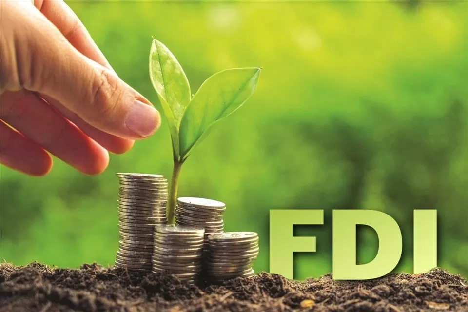 Dòng vốn FDI xanh vào Việt Nam đang ngày càng tăng. (Nguồn: Báo Lao động) Dòng vốn FDI xanh vào Việt Nam đang ngày càng tăng. (Nguồn: Báo Lao động)