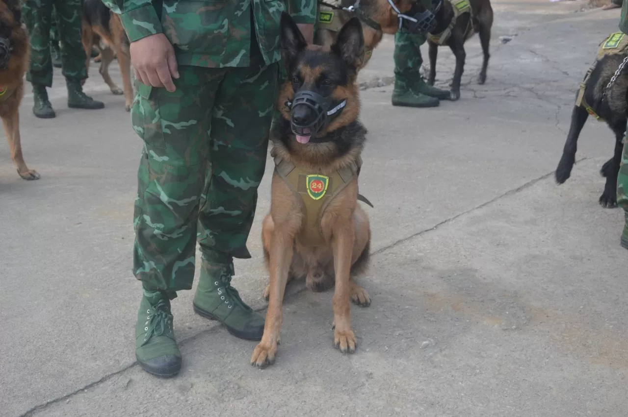 Những 'chiến sĩ đặc biệt' tại Triển lãm quốc phòng quốc tế Việt Nam 2024