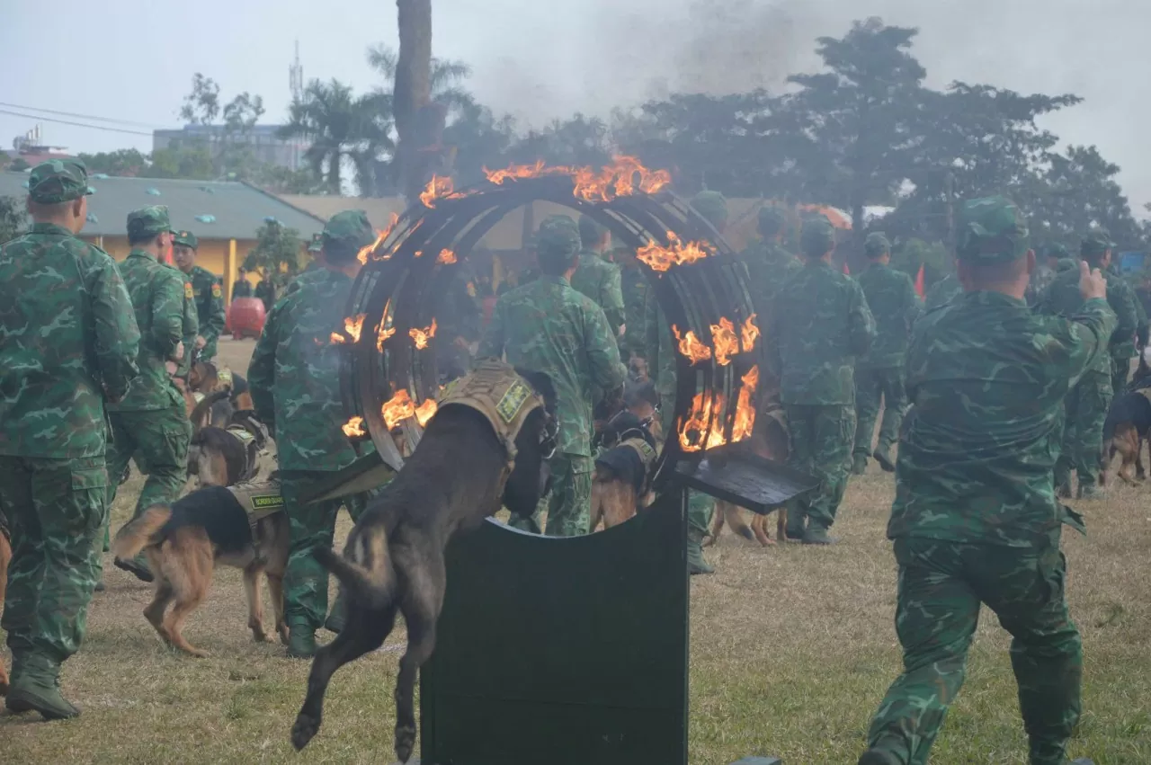 Những 'chiến sĩ đặc biệt' tại Triển lãm quốc phòng quốc tế Việt Nam 2024