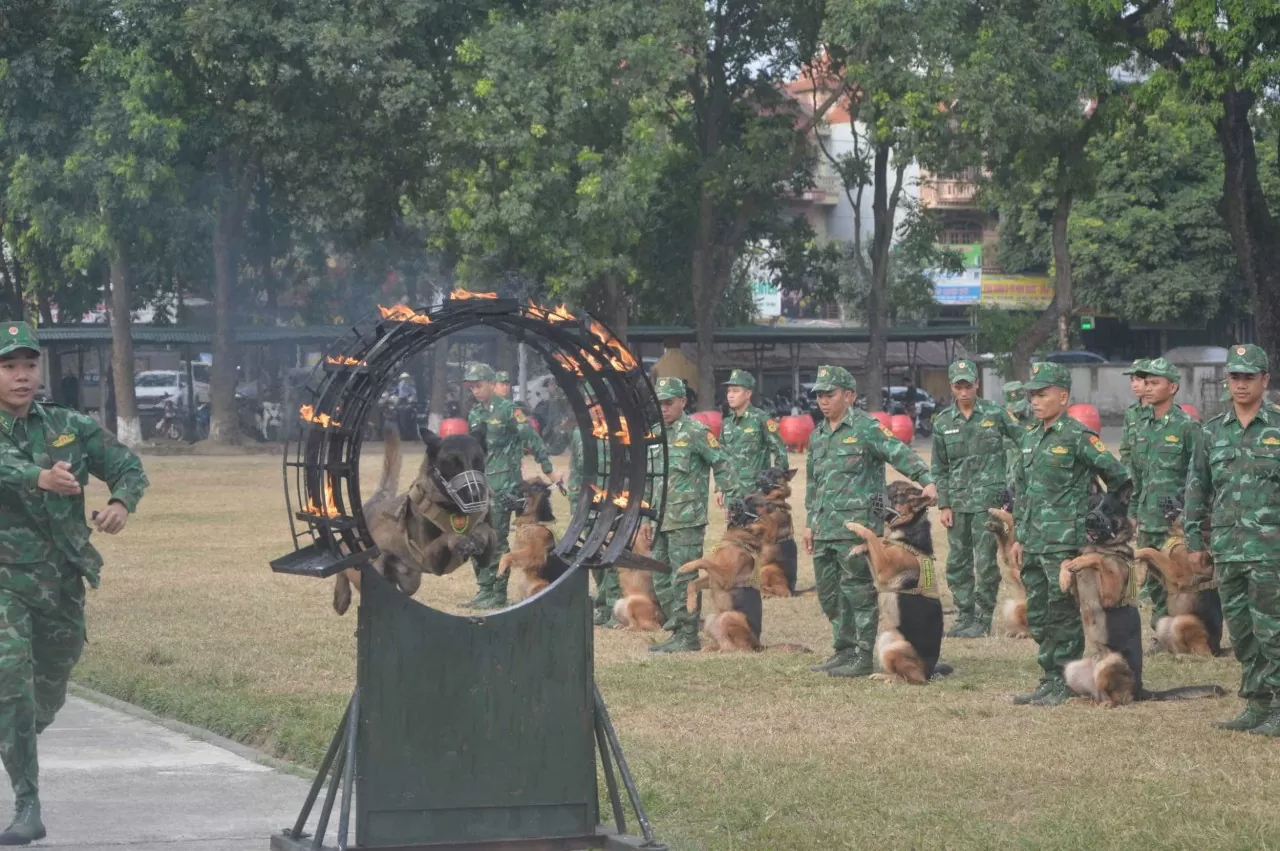 Những 'chiến sĩ đặc biệt' tại Triển lãm quốc phòng quốc tế Việt Nam 2024