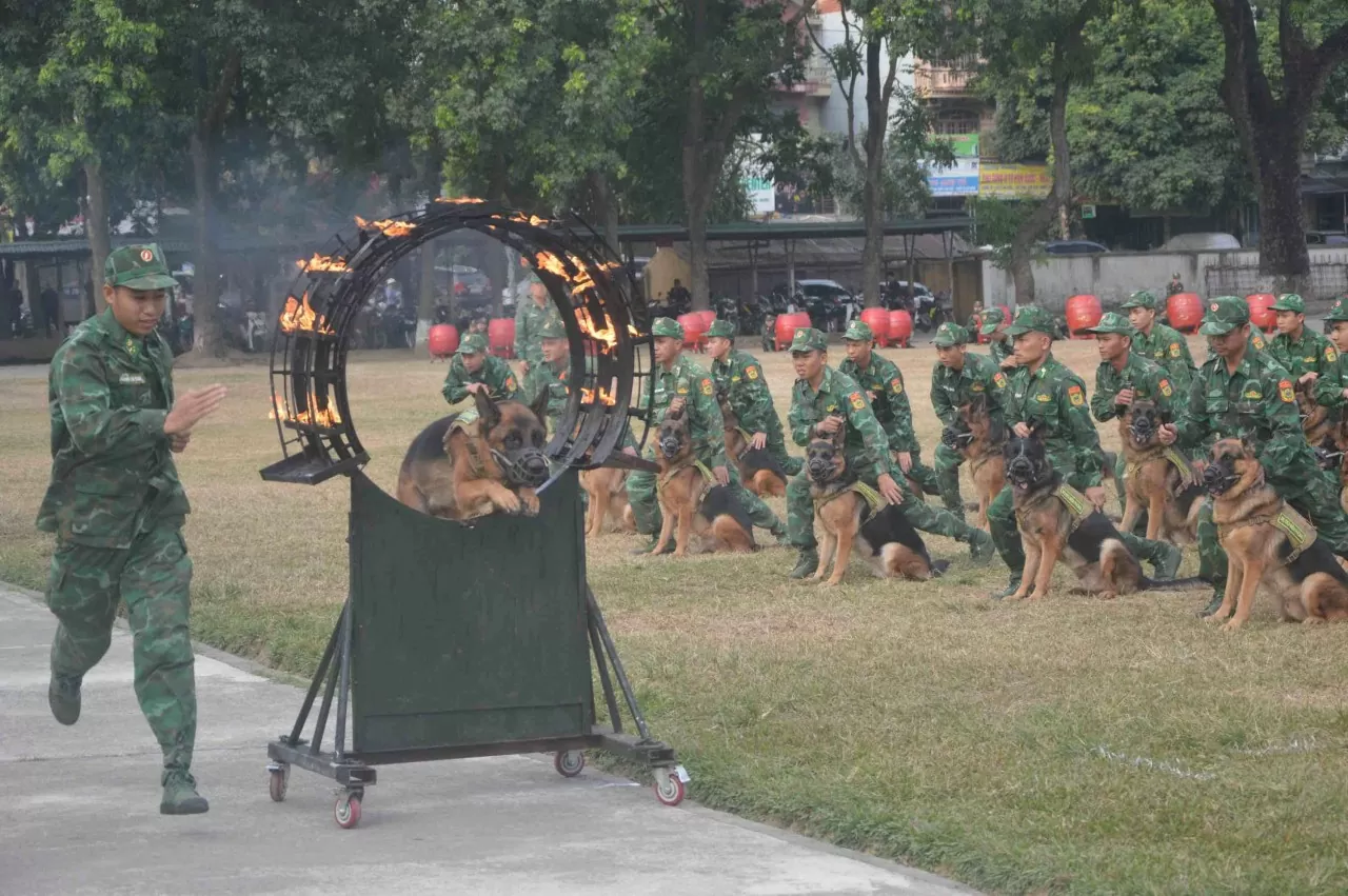 Những 'chiến sĩ đặc biệt' tại Triển lãm quốc phòng quốc tế Việt Nam 2024