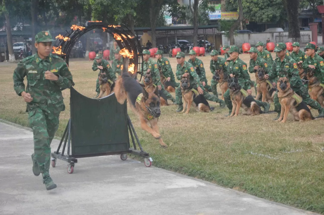 Những 'chiến sĩ đặc biệt' tại Triển lãm quốc phòng quốc tế Việt Nam 2024 Những 'chiến sĩ đặc biệt' tại Triển lãm quốc phòng quốc tế Việt Nam 2024