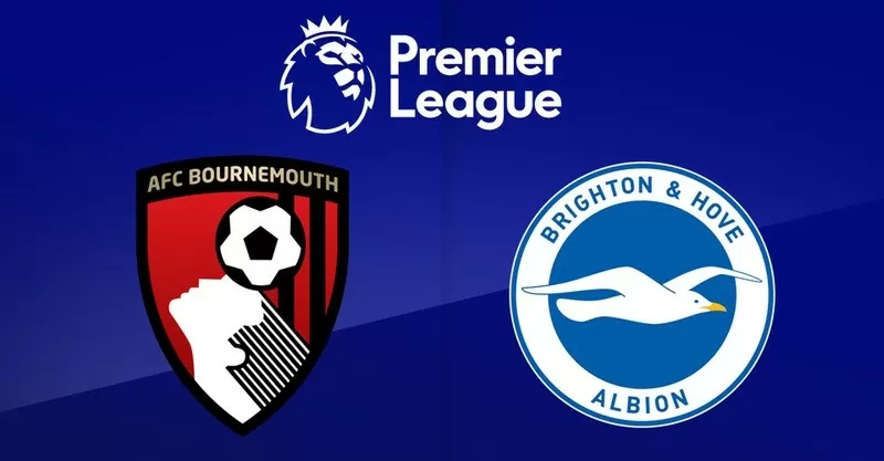 Nhận định, dự đoán tỷ số AFC Bournemouth vs Brighton, 22h00 ngày 23/11 - Vòng 12 Ngoại hạng Anh