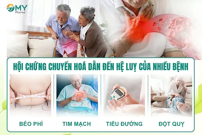 Ảnh 2: Hội chứng chuyển hoá dẫn đến hệ luỵ của nhiều bệnh lý. Ảnh 2: Hội chứng chuyển hoá dẫn đến hệ luỵ của nhiều bệnh lý.