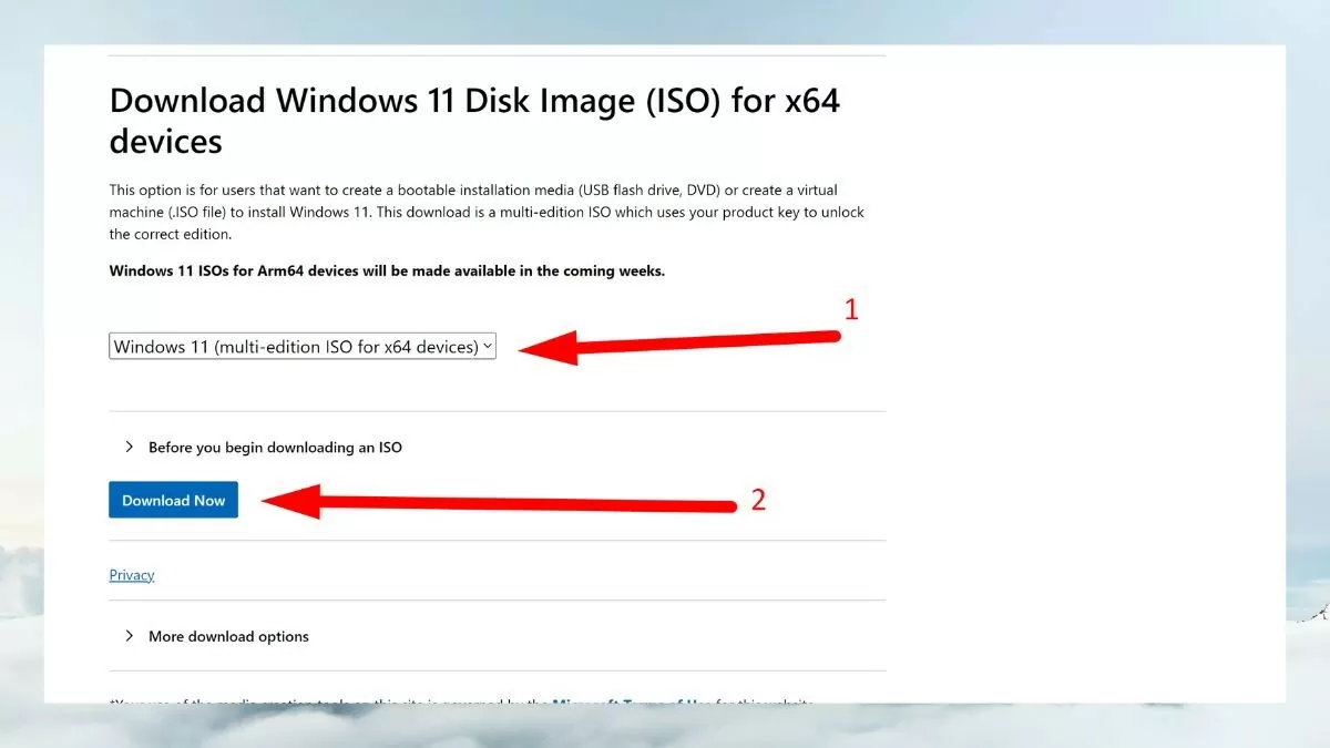 Cách download Windows 11 ISO chính thức từ Microsoft hiệu quả nhất Cách download Windows 11 ISO chính thức từ Microsoft hiệu quả nhất