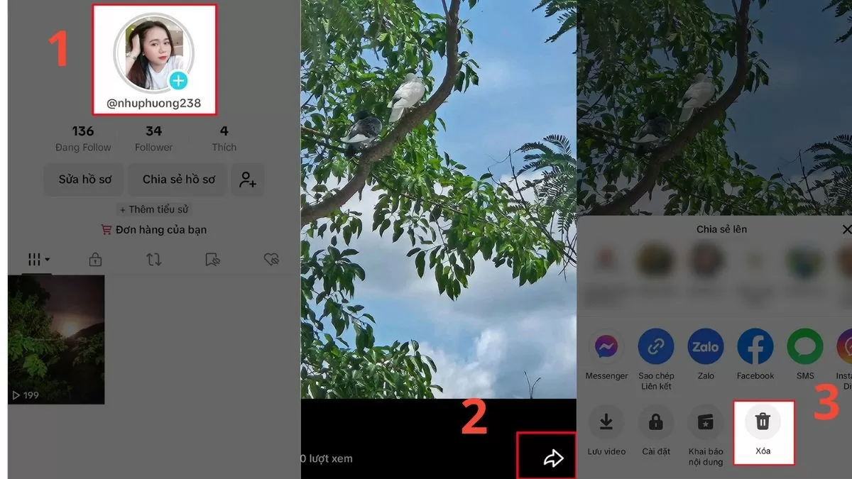 Xoá nhật ký TikTok nhanh chóng Xoá nhật ký TikTok nhanh chóng
