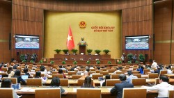 Hôm nay 29/11, Quốc hội biểu quyết thông qua 2 luật mới và 3 luật sửa đổi, thảo luận 2 luật khác