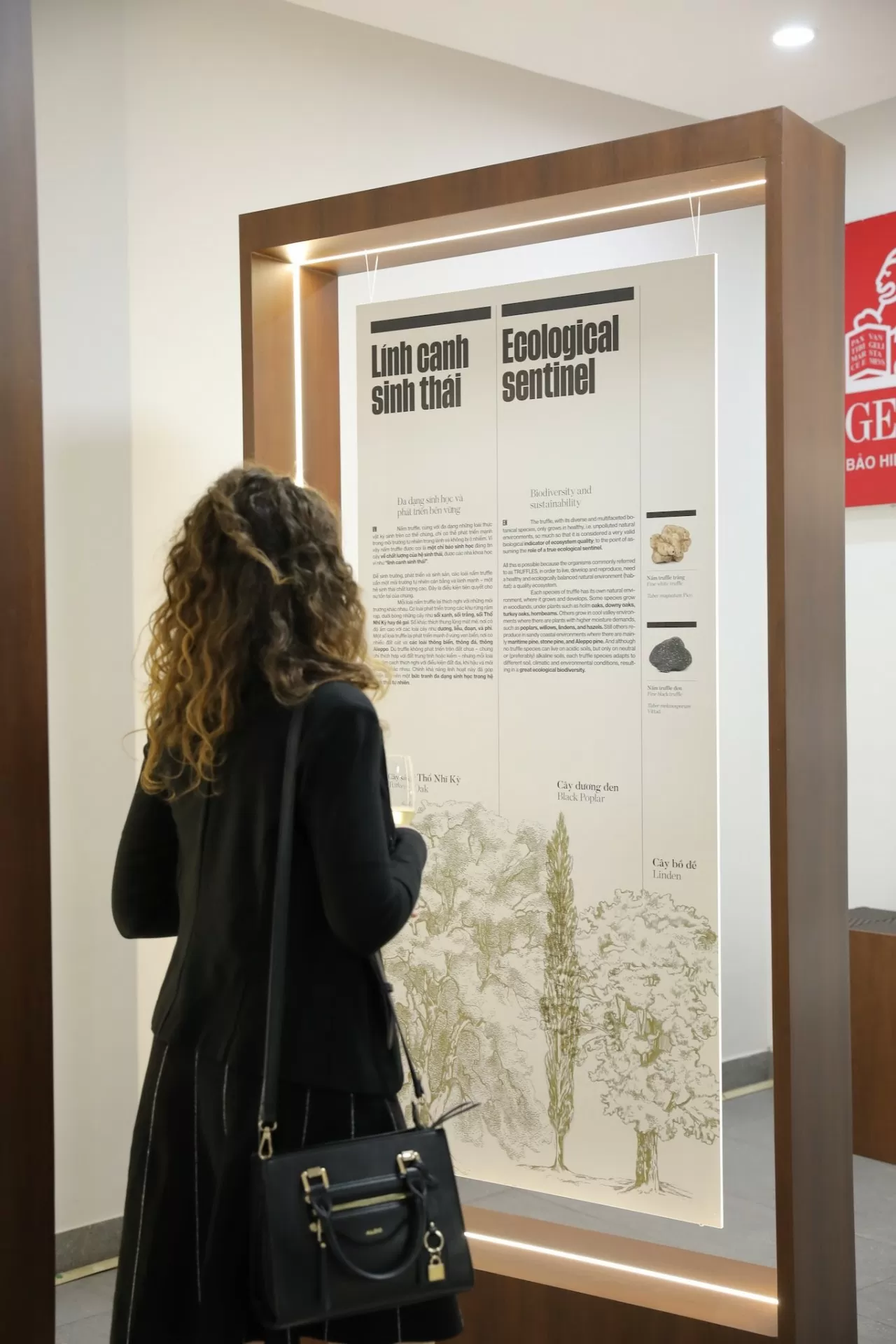 Khám phá vẻ đẹp huyền bí của nấm truffle – ‘viên ngọc trai đen’ của ẩm thực Ý Khám phá vẻ đẹp huyền bí của nấm truffle – ‘viên ngọc trai đen’ của ẩm thực Ý