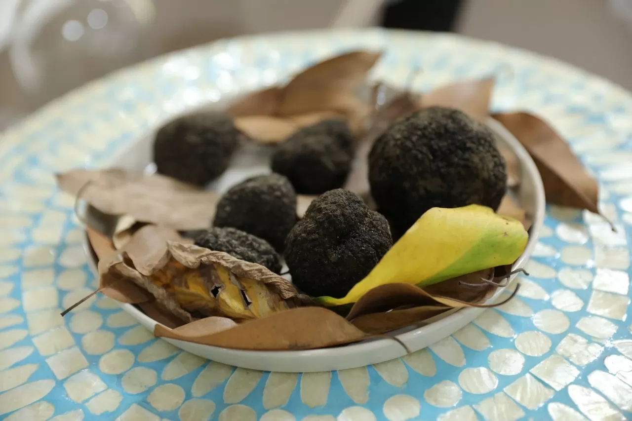 Khám phá vẻ đẹp huyền bí của nấm truffle – ‘viên ngọc trai đen’ của ẩm thực Ý Khám phá vẻ đẹp huyền bí của nấm truffle – ‘viên ngọc trai đen’ của ẩm thực Ý