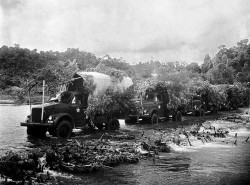 Nhà giáo ưu tú, chiến sĩ Bùi Ngưng: Duyên vận tải, nghiệp trồng người