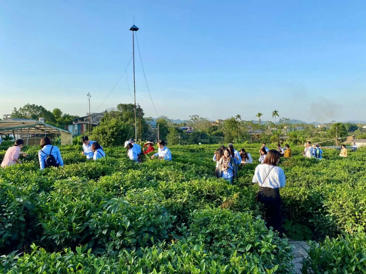 Về nguồn tại Thái Nguyên: Báo Thế giới và Việt Nam khẳng định tinh thần báo chí cách mạng Về nguồn tại Thái Nguyên: Báo Thế giới và Việt Nam khẳng định tinh thần báo chí cách mạng