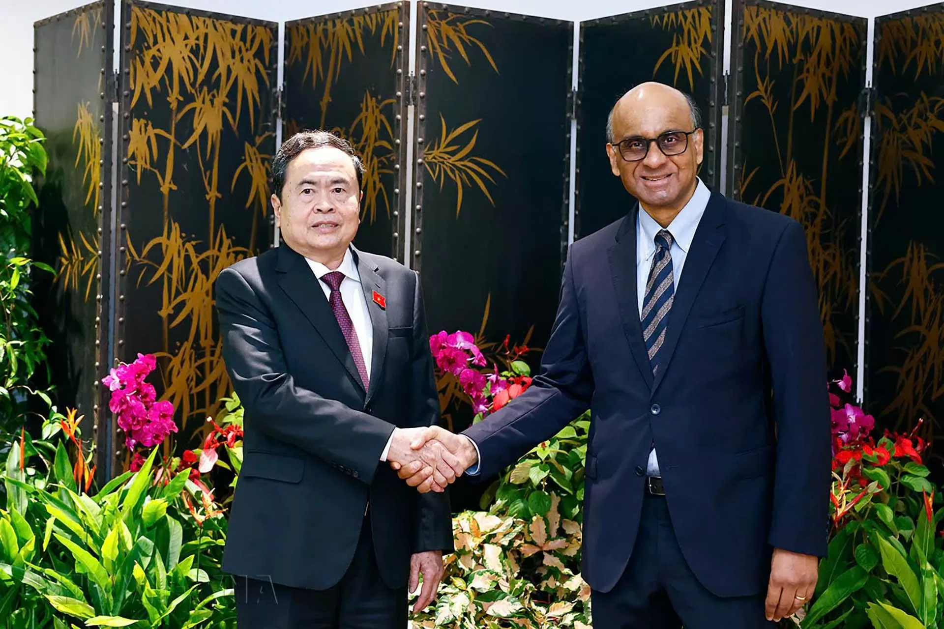 Chủ tịch Quốc hội Trần Thanh Mẫn và Tổng thống Singapore Tharman Shanmugaranam. (Nguồn: TTXVN) Chủ tịch Quốc hội Trần Thanh Mẫn và Tổng thống Singapore Tharman Shanmugaranam. (Nguồn: TTXVN)