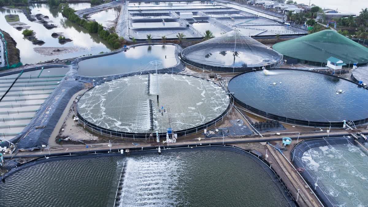 Giải mã sức hút của Cà Mau trên bản đồ đầu tư Việt Nam