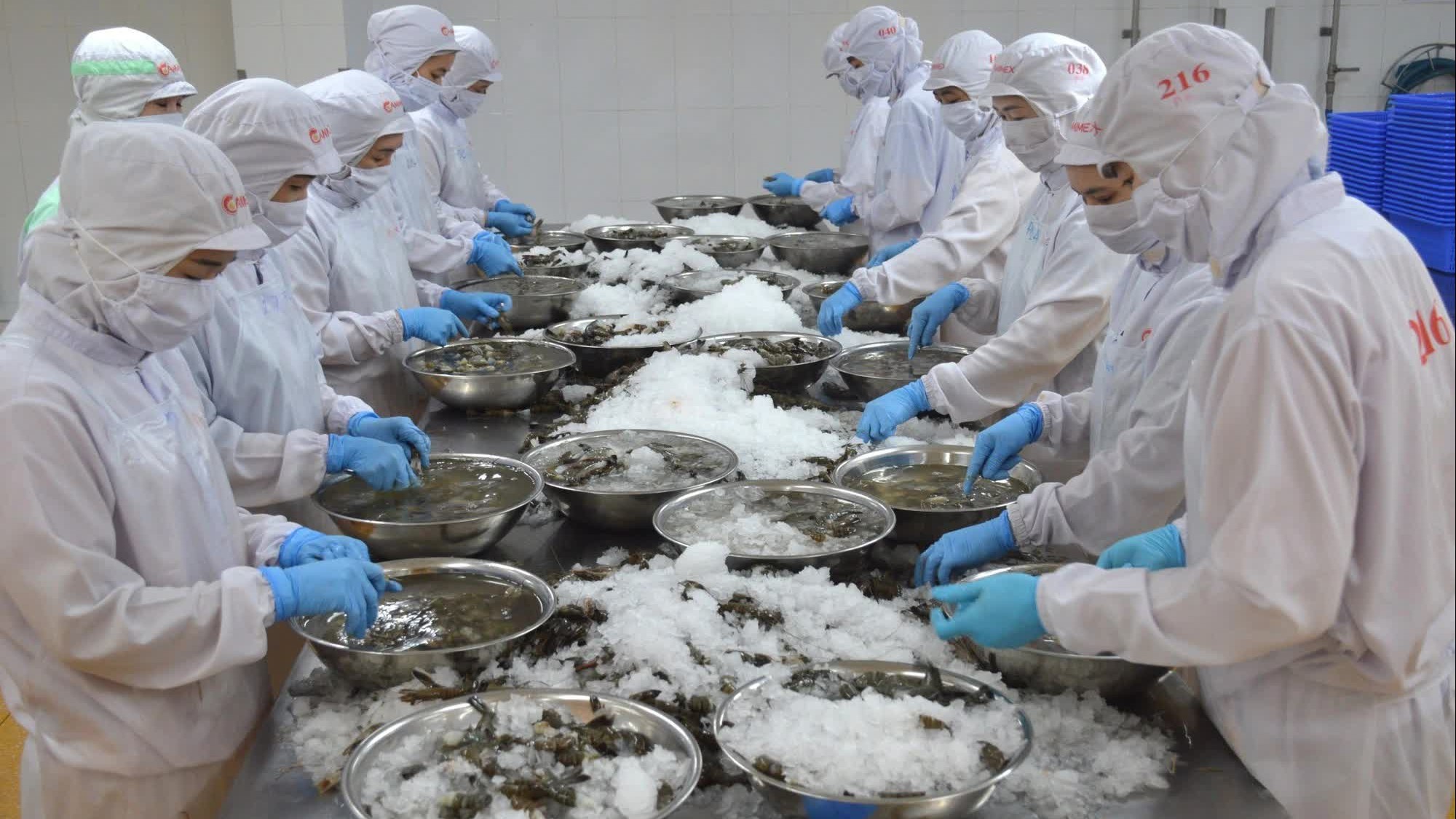 ca mau muon cac doanh nhan doanh nghiep nam bat co hoi hop tac vi su phat trien chung