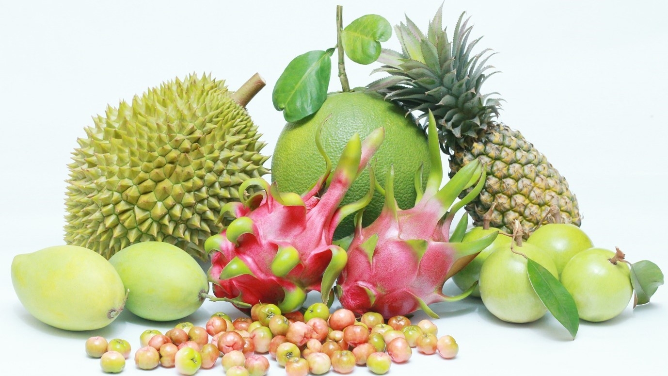 tien giang don tin hieu vui ngay dau nam moi xuat khau 13000 tan gao thu ve 8 trieu usd