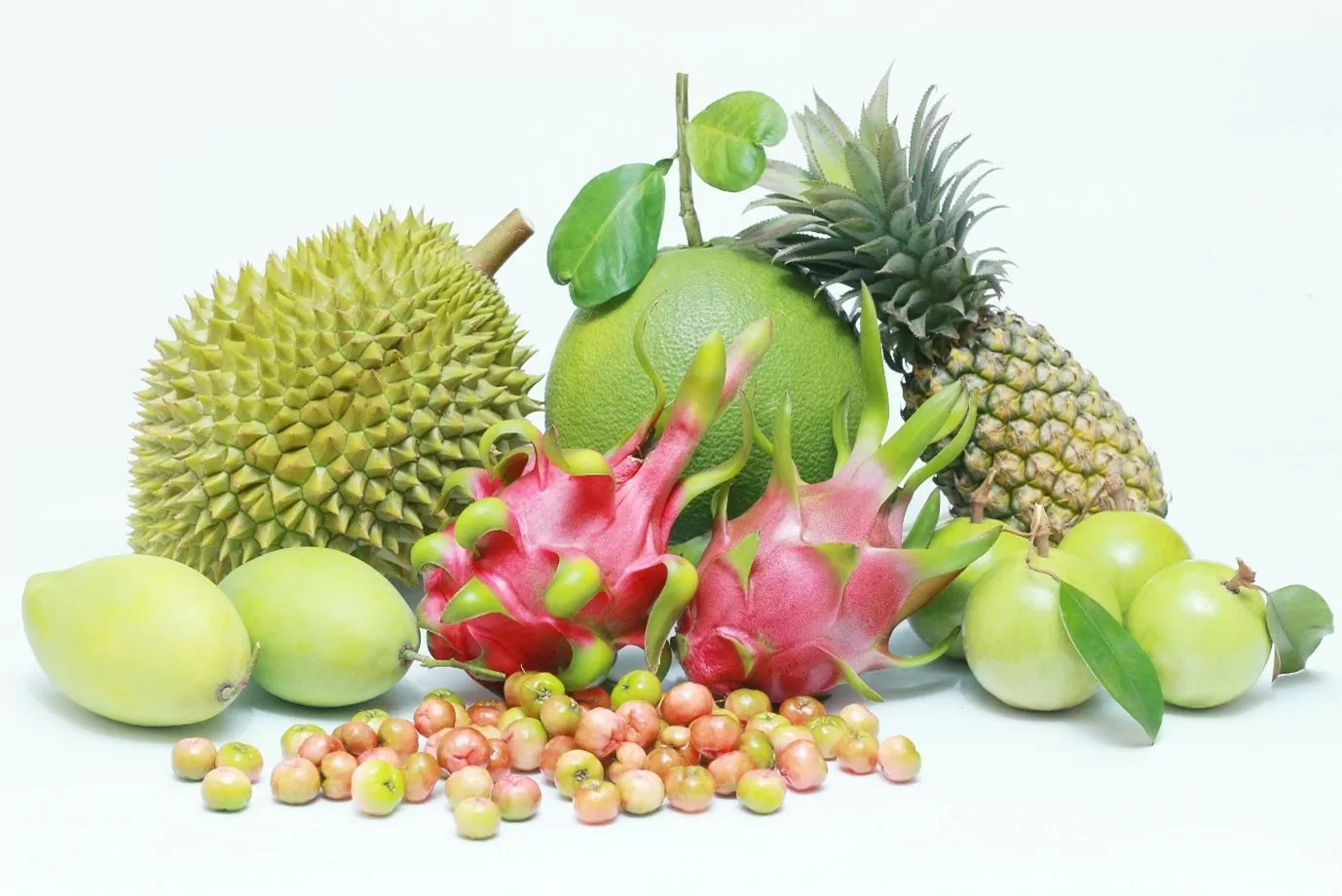 Trái cây đặc sản Tiền Giang. Trái cây đặc sản Tiền Giang.