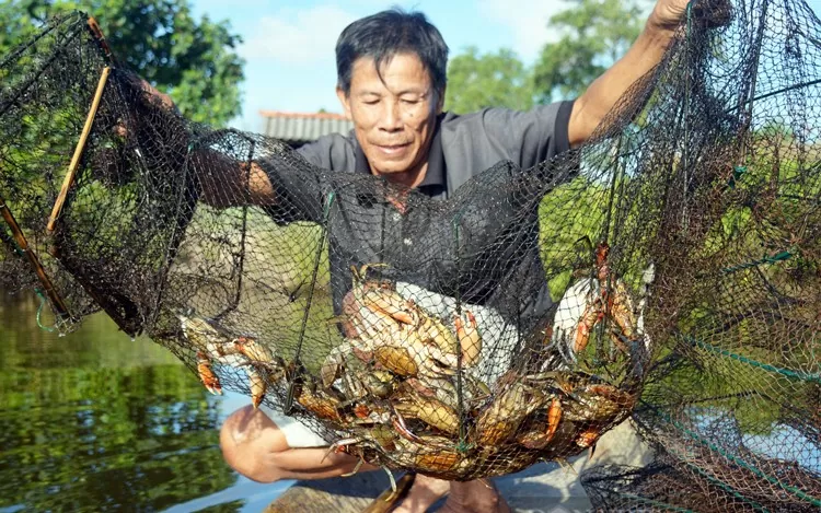 (Nguồn: vasep) (Nguồn: vasep)