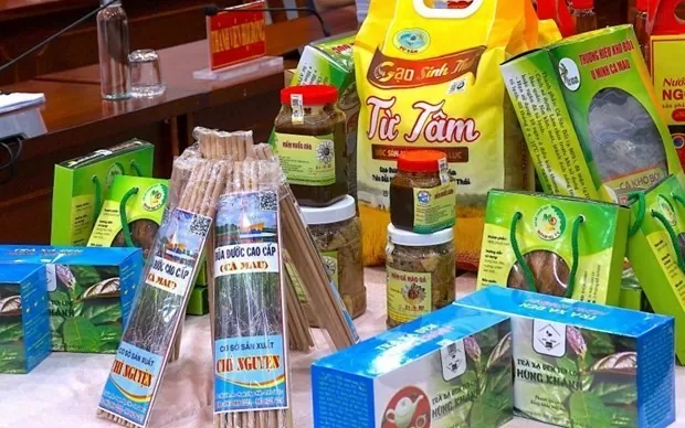 Các sản phẩm OCOP tỉnh Cà Mau. (Nguồn: Thương hiệu và Công luận)