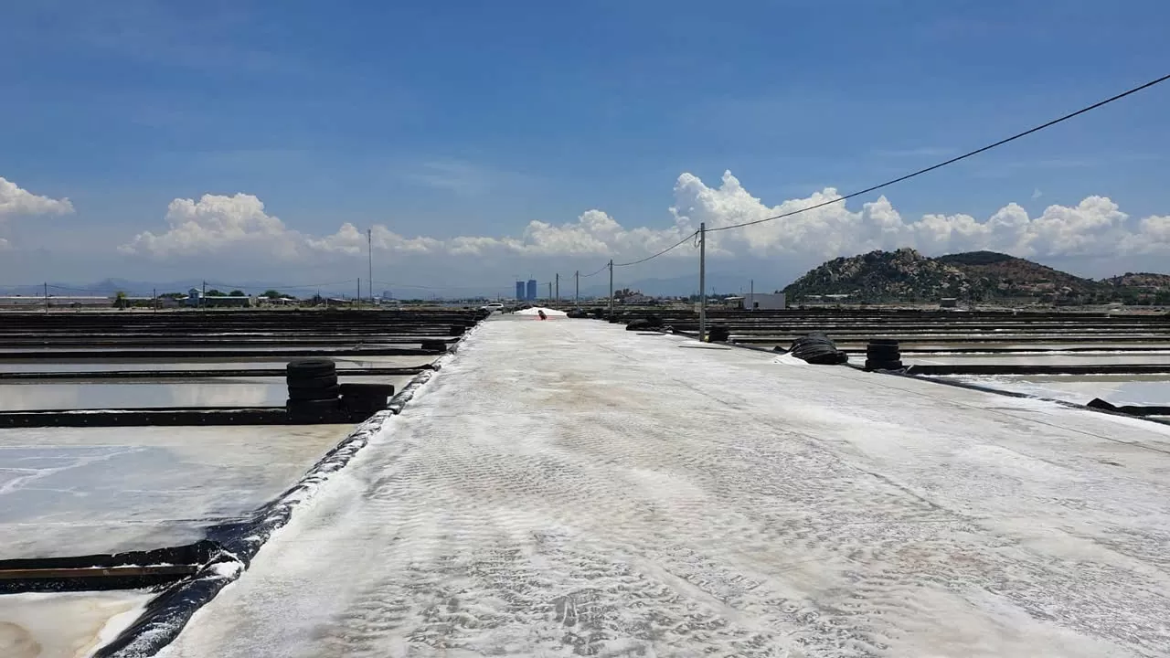 Đưa tình yêu Việt Nam đến tương lai