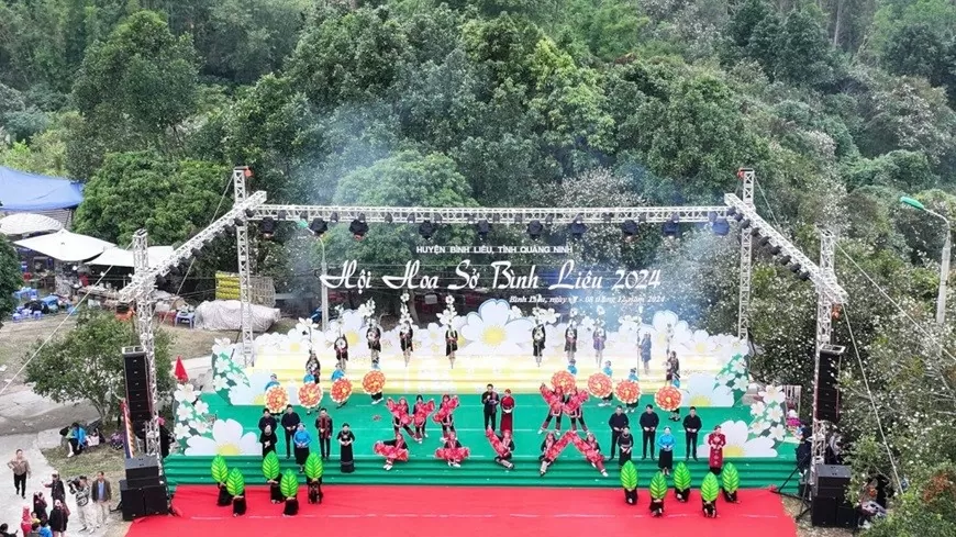 Hội hoa Sở Bình Liêu năm 2024 Hội hoa Sở Bình Liêu năm 2024