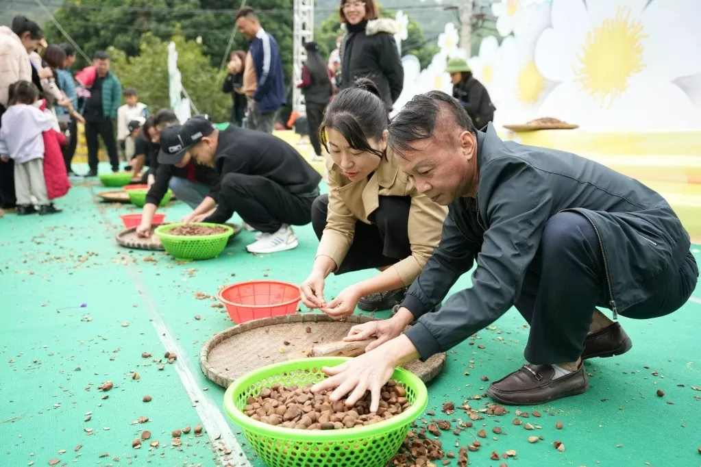 Hội hoa Sở Bình Liêu năm 2024 Hội hoa Sở Bình Liêu năm 2024