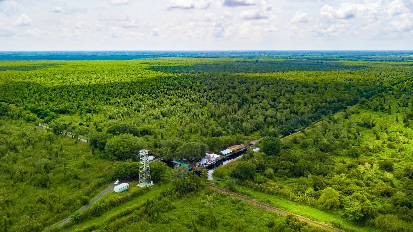 Ảnh: Cà Mau Tourism Ảnh: Cà Mau Tourism