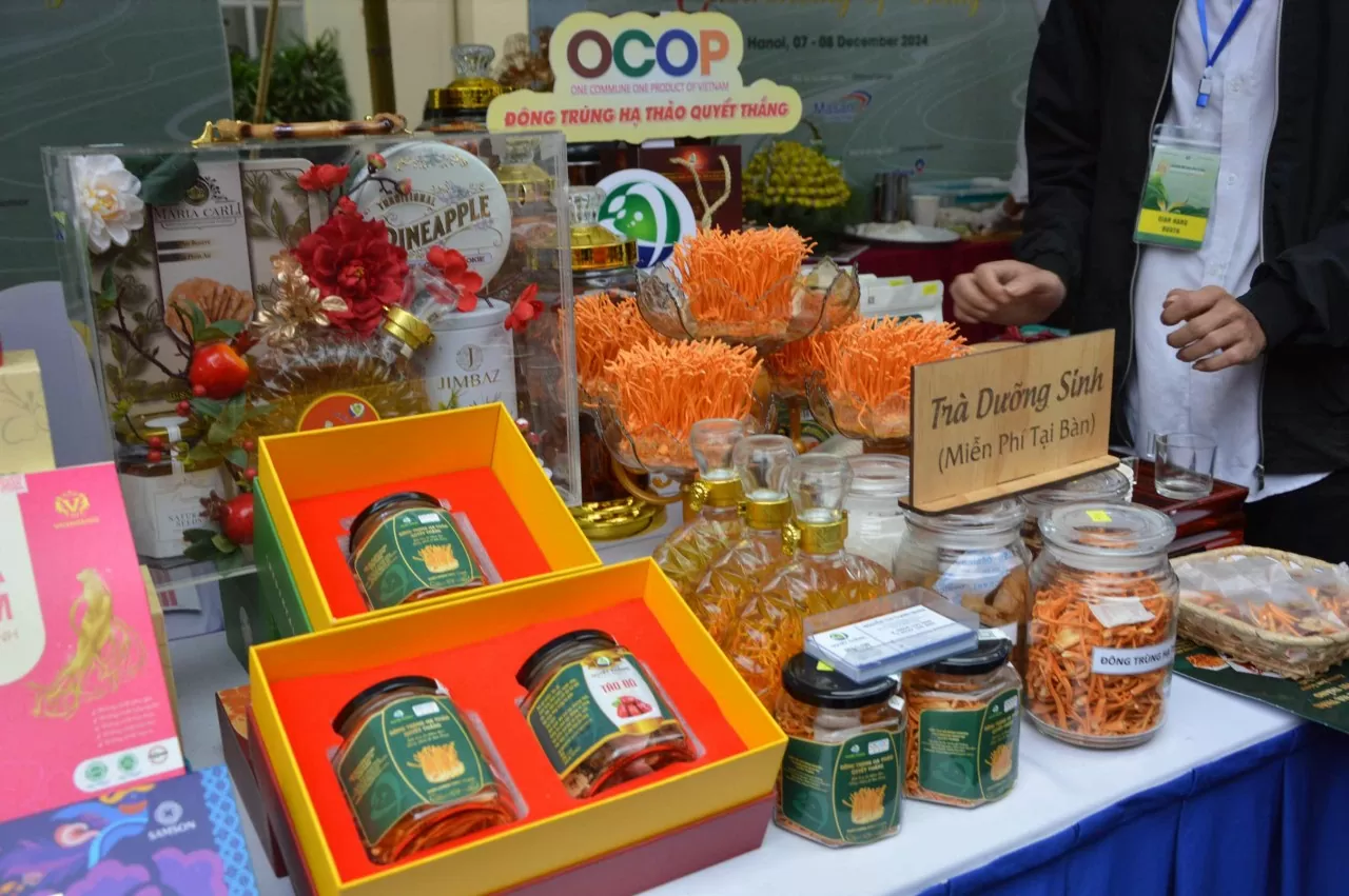 Thái Nguyên và Tuyên Quang chinh phục bạn bè bốn phương tại Liên hoan Ẩm thực quốc tế 2024 Thái Nguyên và Tuyên Quang chinh phục bạn bè bốn phương tại Liên hoan Ẩm thực quốc tế 2024