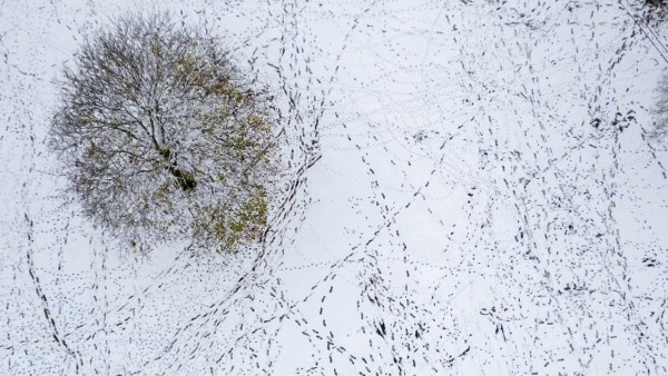 Ngắm khung cảnh tuyết đầu mùa đẹp như trong xứ sở thần tiên