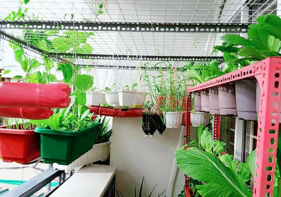 Sống xanh từ hành động nhỏ Sống xanh từ hành động nhỏ