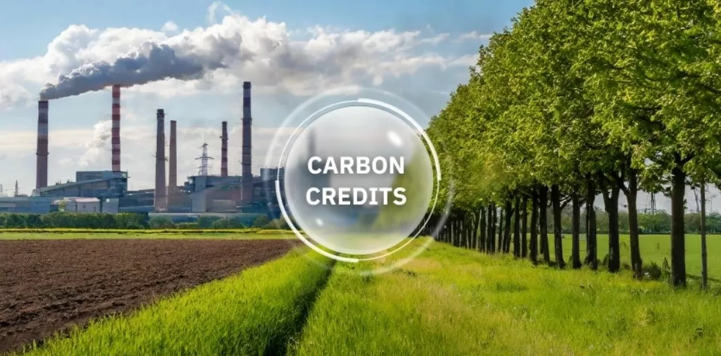 Phát triển thị trường carbon: Tạo sức bật đưa Việt Nam bắt kịp với thế giới Phát triển thị trường carbon: Tạo sức bật đưa Việt Nam bắt kịp với thế giới