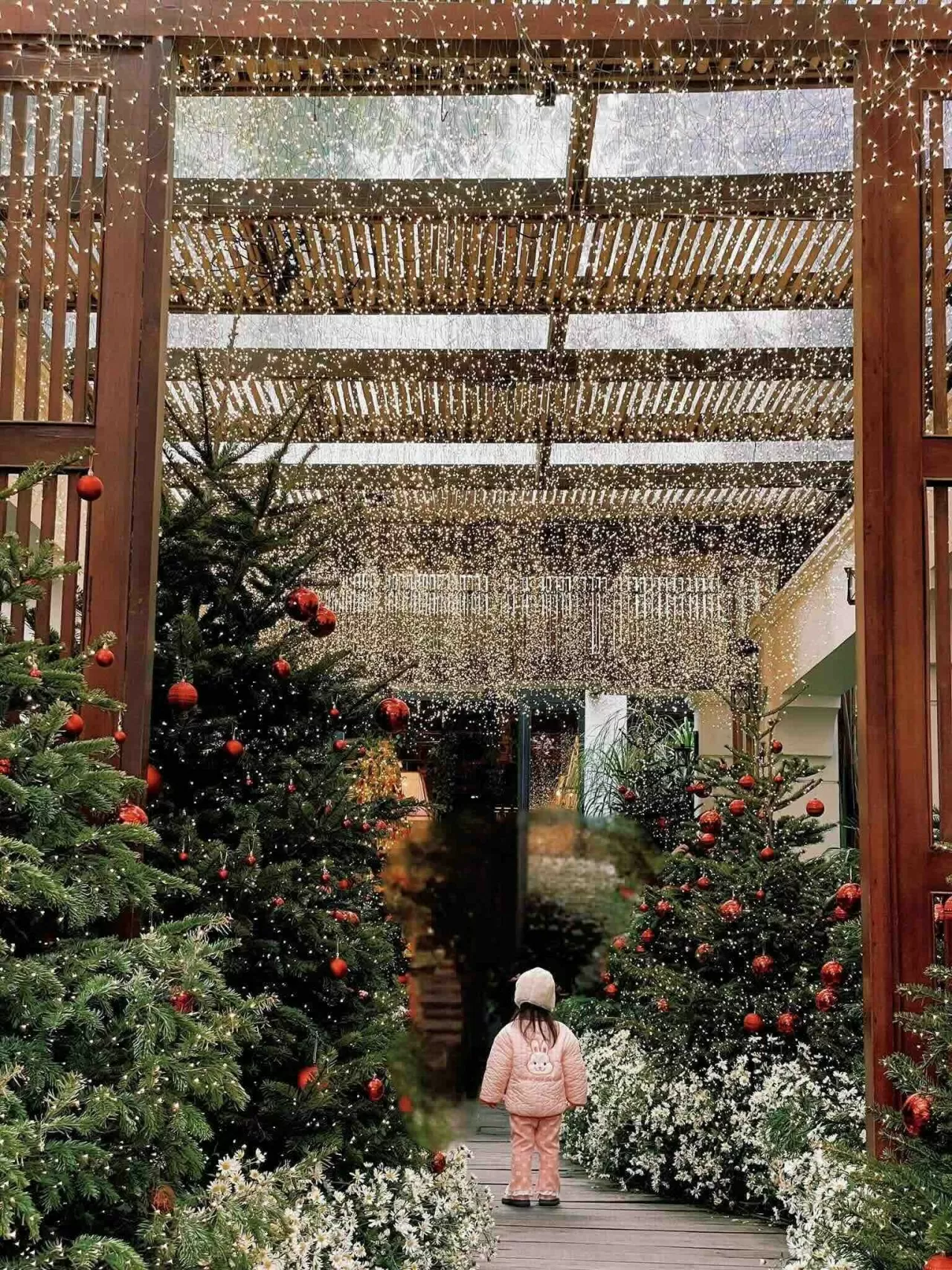 Phố cổ Hà Nội tưng bừng chào đón Giáng sinh Phố cổ Hà Nội tưng bừng chào đón Giáng sinh