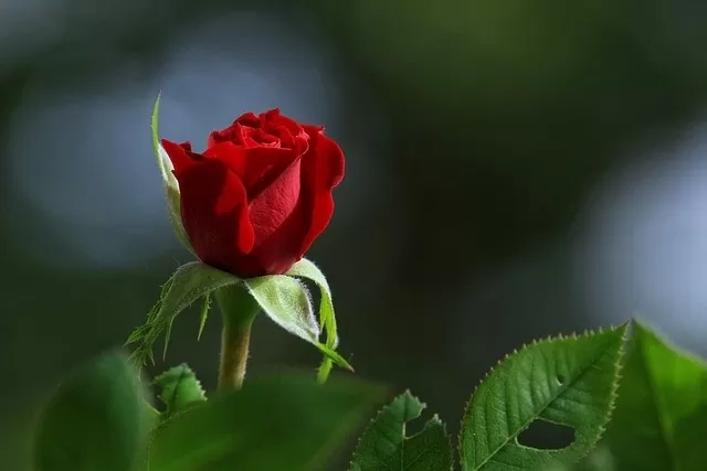Năm loại hàng hóa không nên mua qua mạng Năm loại hàng hóa không nên mua qua mạng