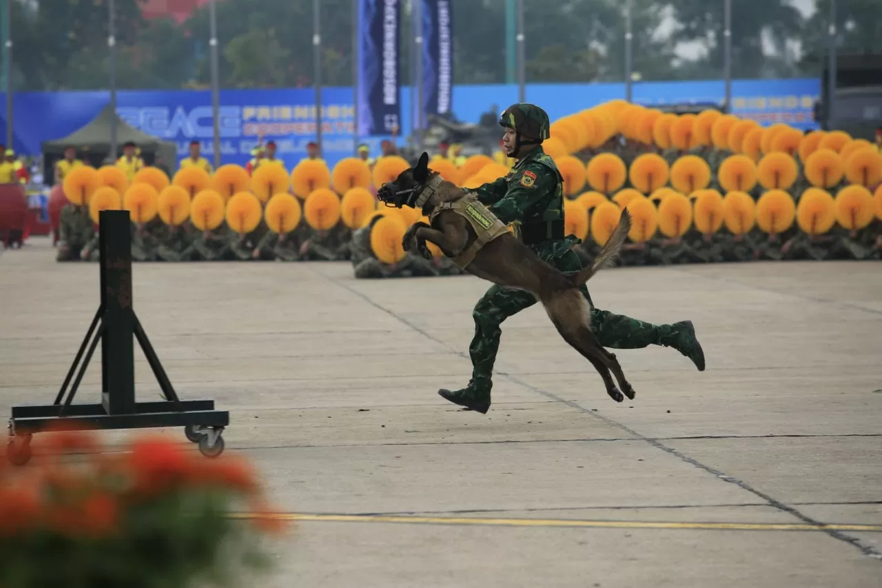 Phô diễn sức mạnh và đoàn kết quân đội tại lễ tổng duyệt Triển lãm Quốc phòng quốc tế Việt Nam 2024 Phô diễn sức mạnh và đoàn kết quân đội tại lễ tổng duyệt Triển lãm Quốc phòng quốc tế Việt Nam 2024