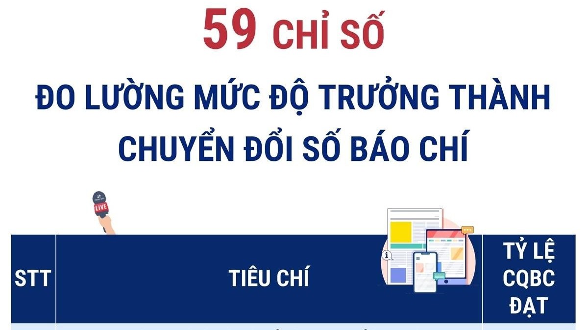 co bao nhieu chi so do luong muc do truong thanh chuyen doi so bao chi