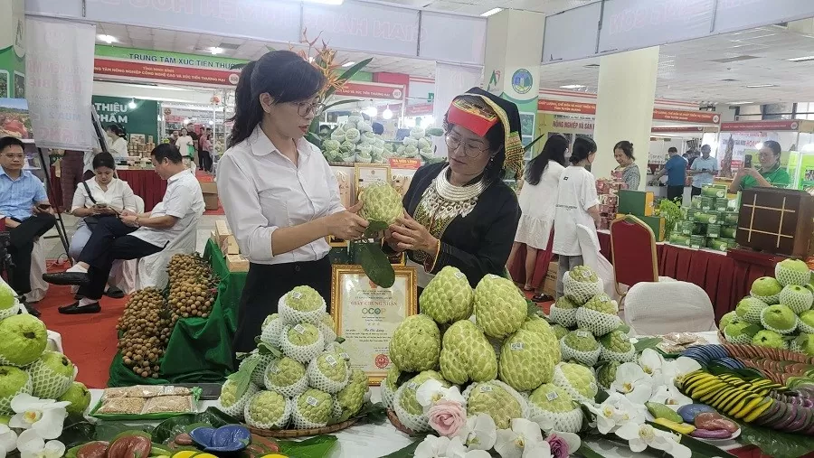 Nhiều sản phẩm OCOP, đặc sản tiêu biểu các vùng miền được giới thiệu tại Lễ hội mua sắm năm 2024 Nhiều sản phẩm OCOP, đặc sản tiêu biểu các vùng miền được giới thiệu tại Lễ hội mua sắm năm 2024