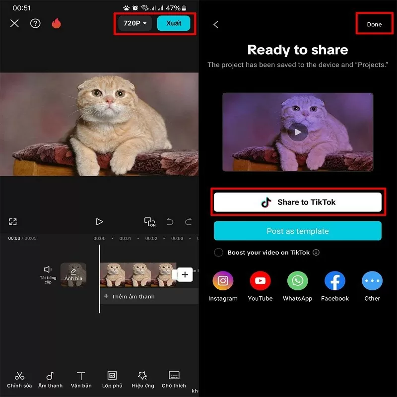 Cách tạo video động vật hát nhép bằng Capcut AI siêu ấn tượng Cách tạo video động vật hát nhép bằng Capcut AI siêu ấn tượng