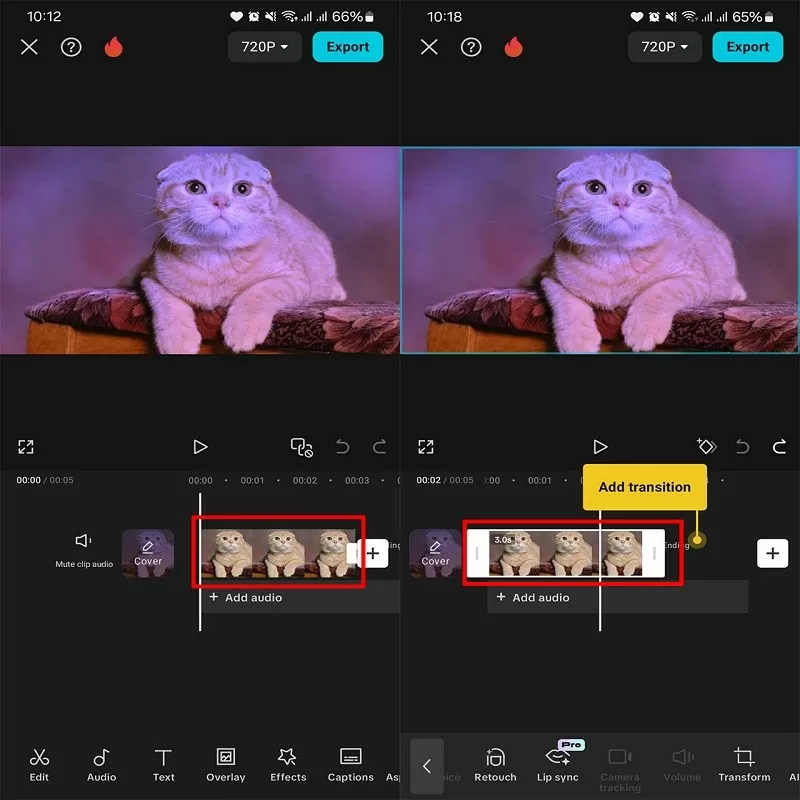 Cách tạo video động vật hát nhép bằng Capcut AI siêu ấn tượng Cách tạo video động vật hát nhép bằng Capcut AI siêu ấn tượng