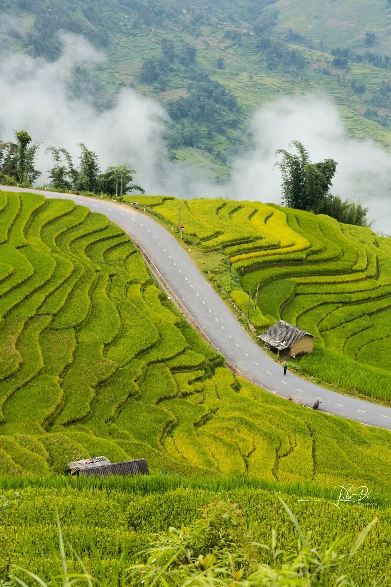 Khúc cua “săn mây ngắm lúa” làm nhiều du khách mê mẩn. (Ảnh: Hoàng Diệu Đế) Khúc cua “săn mây ngắm lúa” làm nhiều du khách mê mẩn. (Ảnh: Hoàng Diệu Đế)