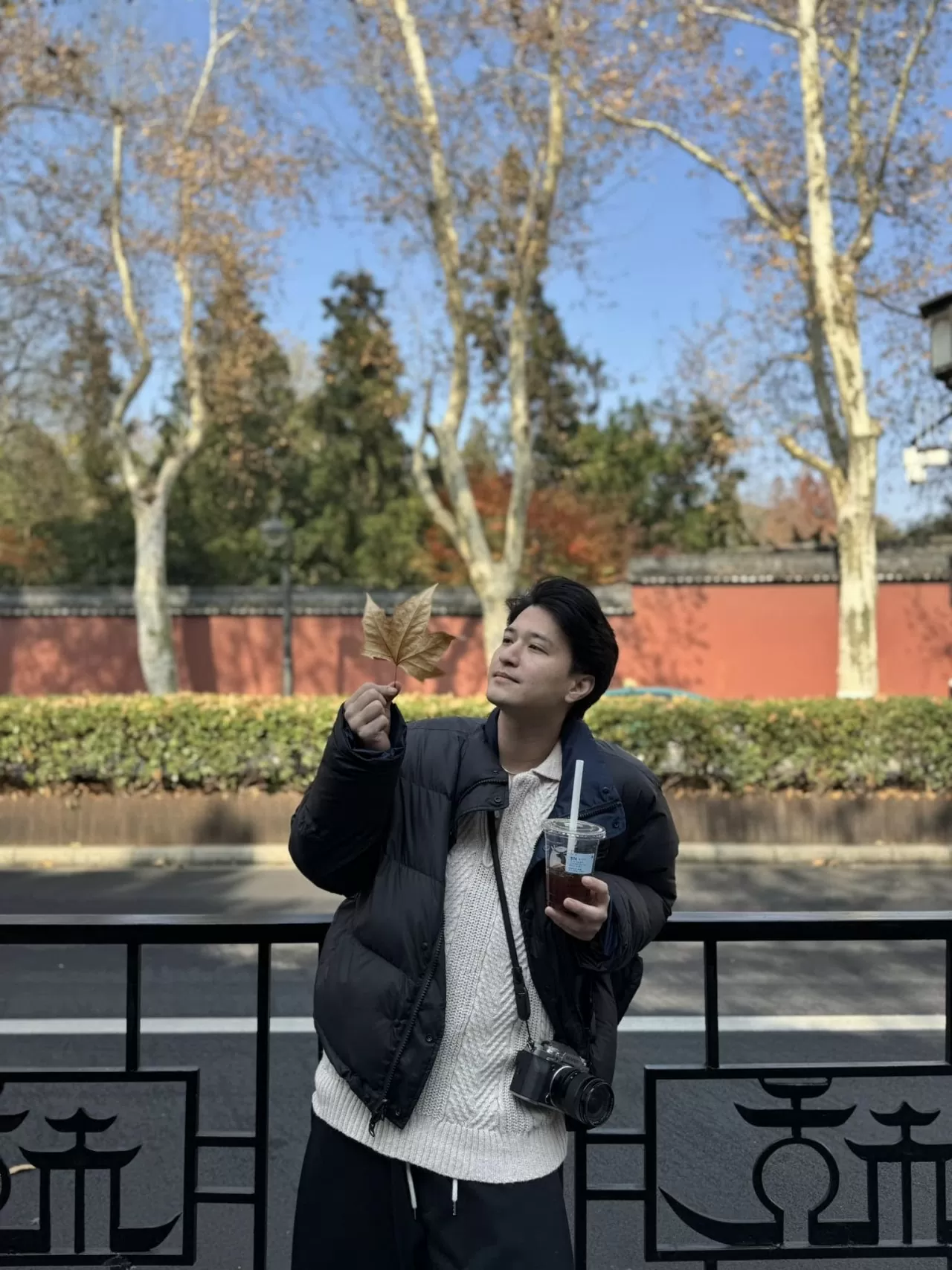 Sao Việt Sao Việt