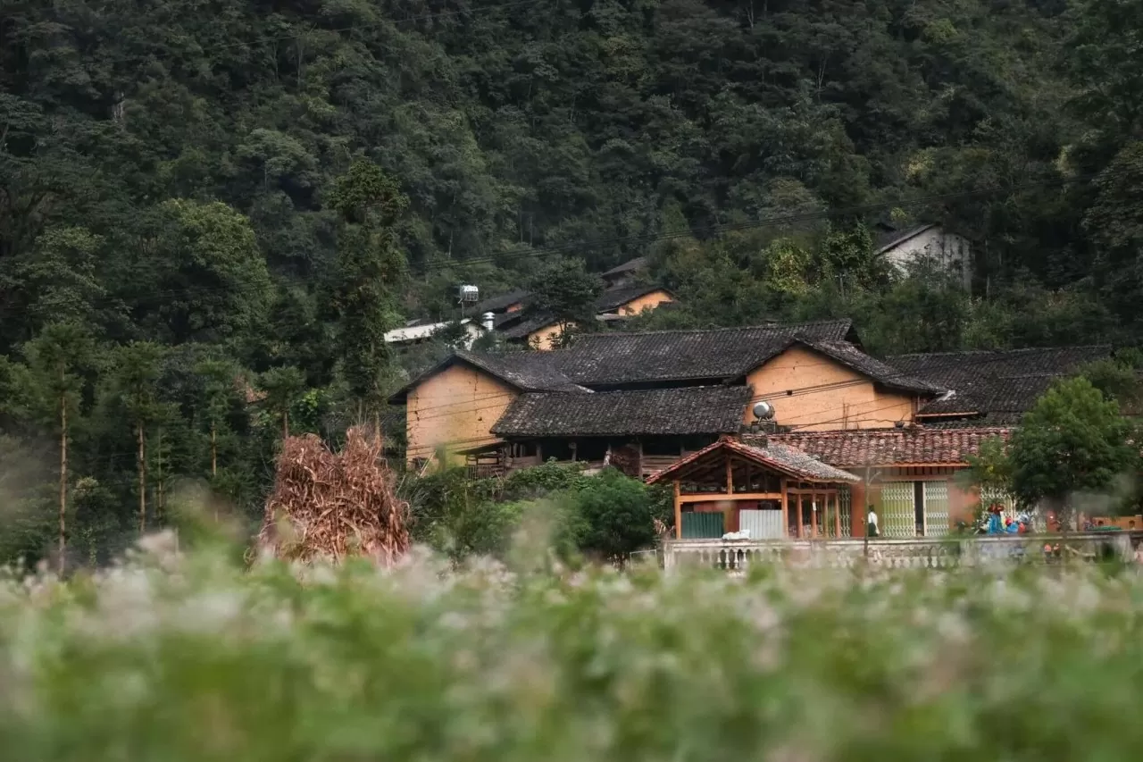 Thung lũng Sủng Là: 'Ốc đảo' yên bình trên cao nguyên đá Hà Giang Thung lũng Sủng Là: 'Ốc đảo' yên bình trên cao nguyên đá Hà Giang