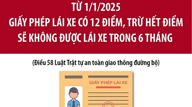 Từ 1/1/2025, giấy phép lái xe ô tô bị trừ hết điểm phải làm gì?