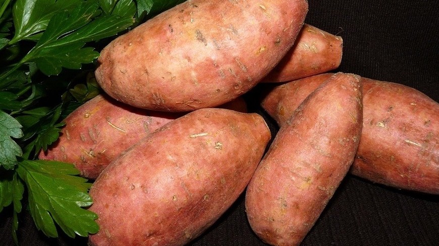 Năm lợi ích sức khỏe và nhan sắc nếu thường xuyên ăn khoai lang vào bữa sáng