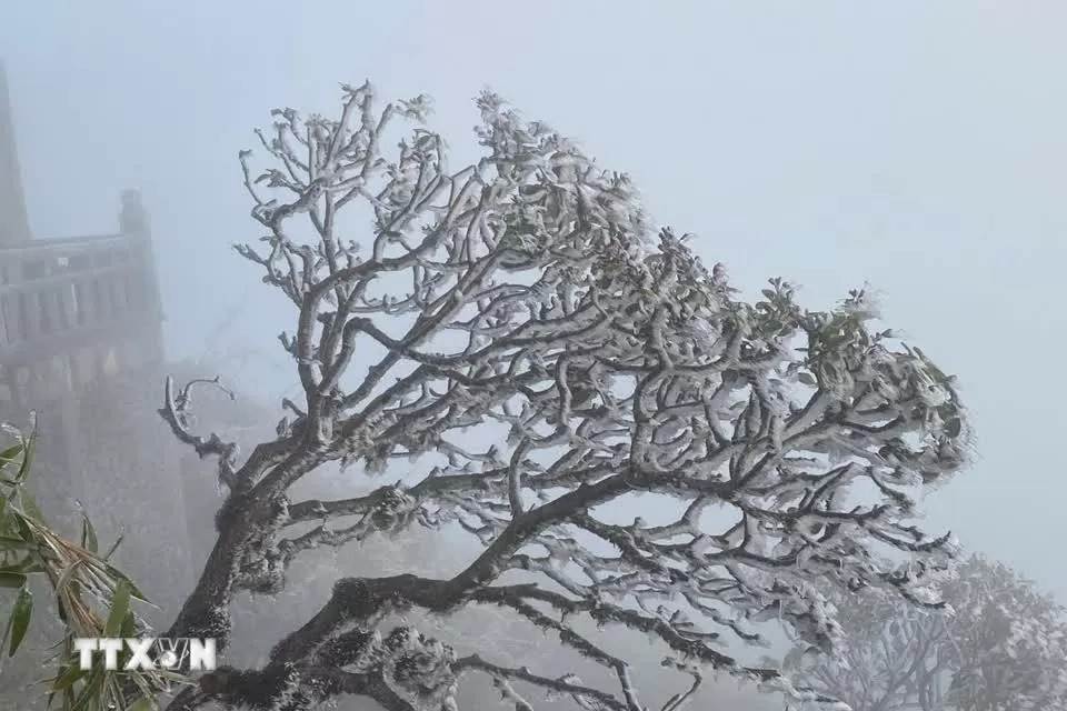 Đỉnh Fansipan băng giá phủ trắng Đỉnh Fansipan băng giá phủ trắng