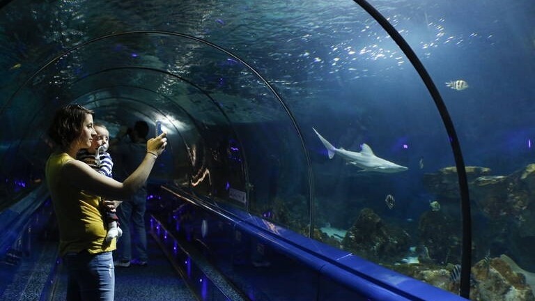 Pháp đóng cửa công viên hải dương học lớn nhất châu Âu