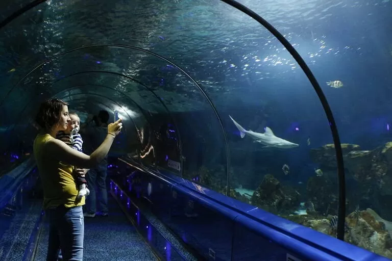 Pháp đóng cửa công viên hải dương học lớn nhất châu Âu Pháp đóng cửa công viên hải dương học lớn nhất châu Âu