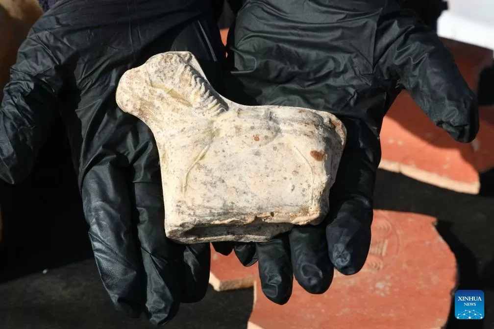 Israel phát hiện tu viện 1.500 năm với sàn phủ đầy màu sắc Israel phát hiện tu viện 1.500 năm với sàn phủ đầy màu sắc