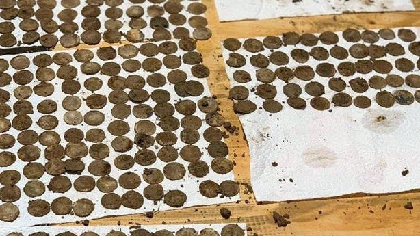 Đôi bạn tìm thấy kho báu đồng xu thời Trung cổ khi dò tìm kim loại