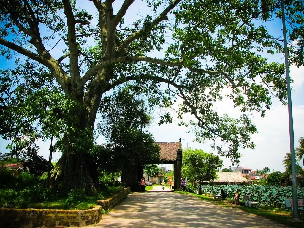 Làng cổ Đường Lâm: Nơi lưu giữ nét văn hóa đồng bằng Bắc Bộ Làng cổ Đường Lâm: Nơi lưu giữ nét văn hóa đồng bằng Bắc Bộ